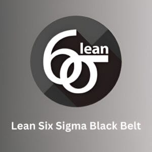 Lean Six Sigma Black Belt