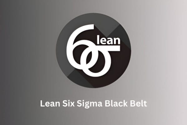 Lean Six Sigma Black Belt