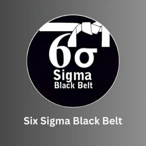 Six Sigma Black Belt