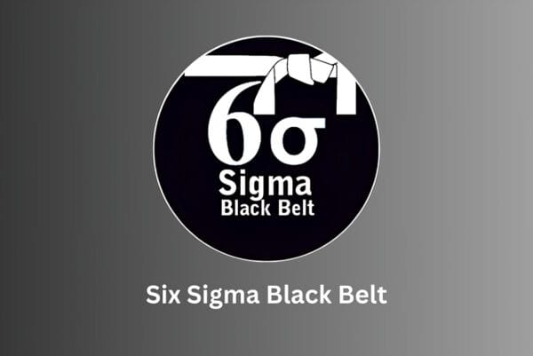Six Sigma Black Belt