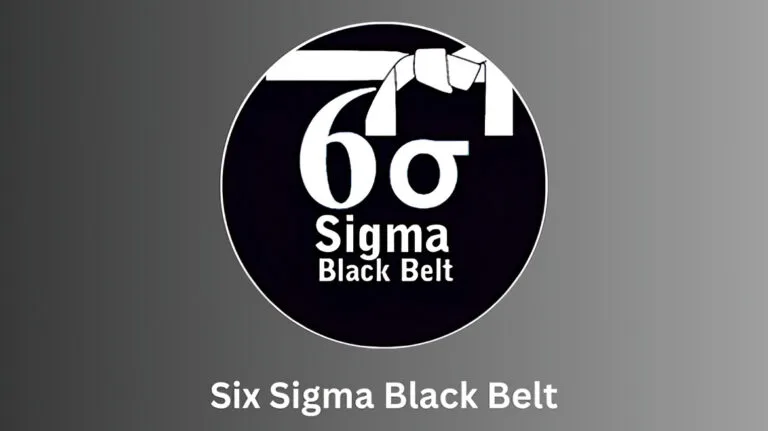 Six Sigma Black Belt Training And Certification